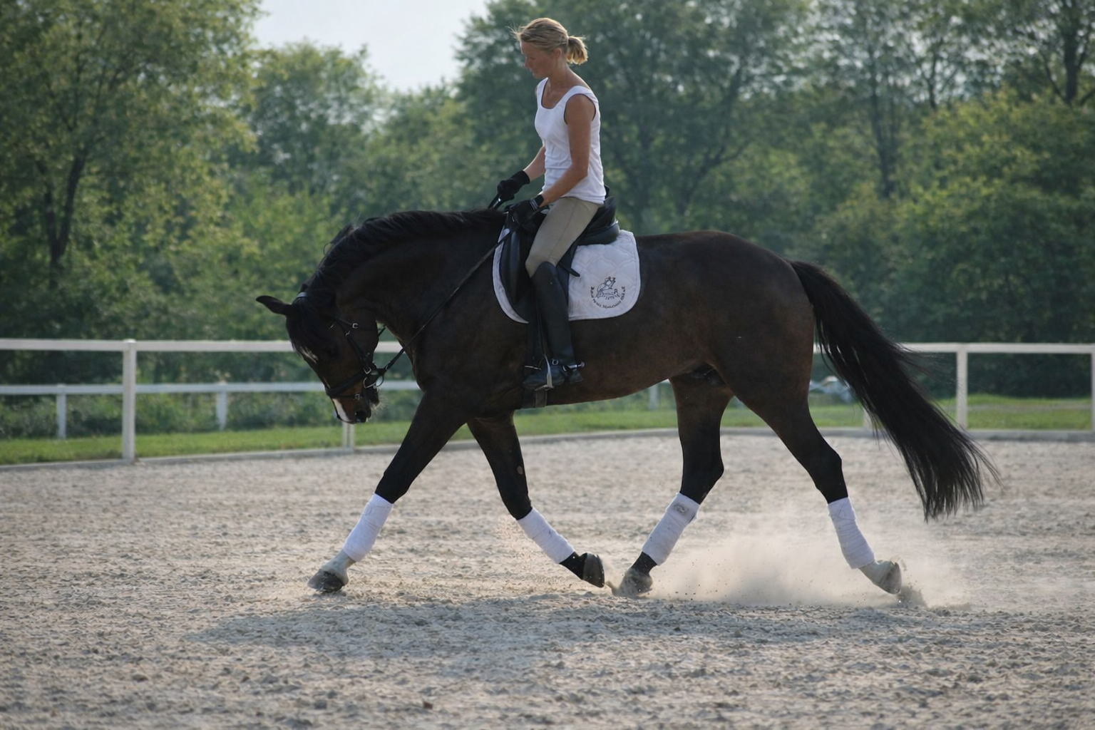 file 000000005f9c720aa0f547b6025137d8